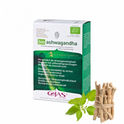 Ashwagandha Ojas – natuurlijk evenwicht voor lichaam en geest