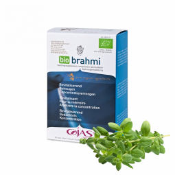 Bio Brahmi van Ojas – Natuurlijk Supplement voor Geheugen & Focus